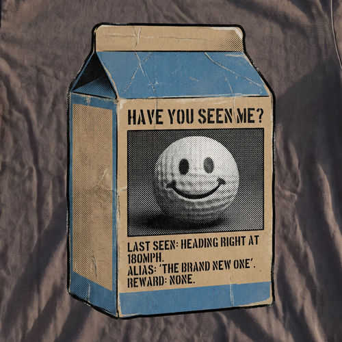 Have You Seen Me Premium Tee