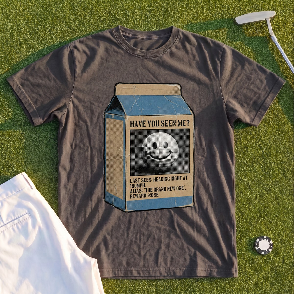 Have You Seen Me Premium Tee