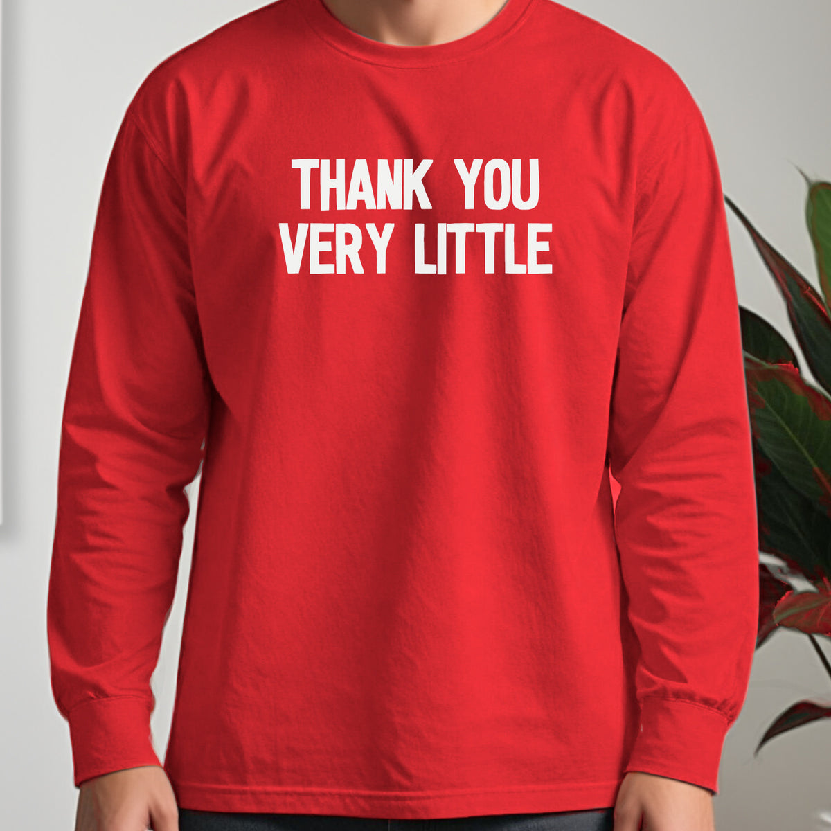 Thank You Very Little Long Sleeve Tee worn, Red