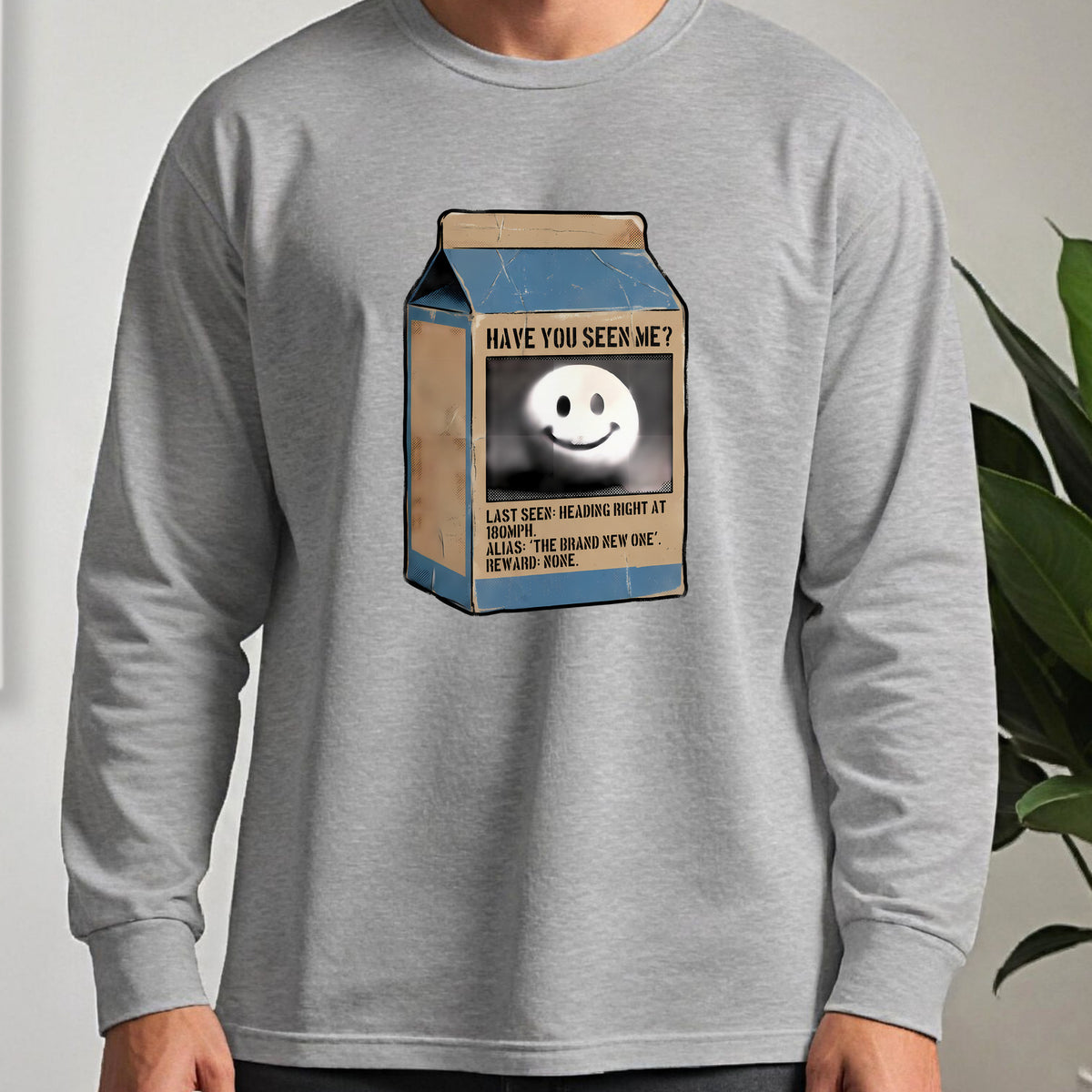 Have You Seen Me Long Sleeve Tee worn, Sport Grey